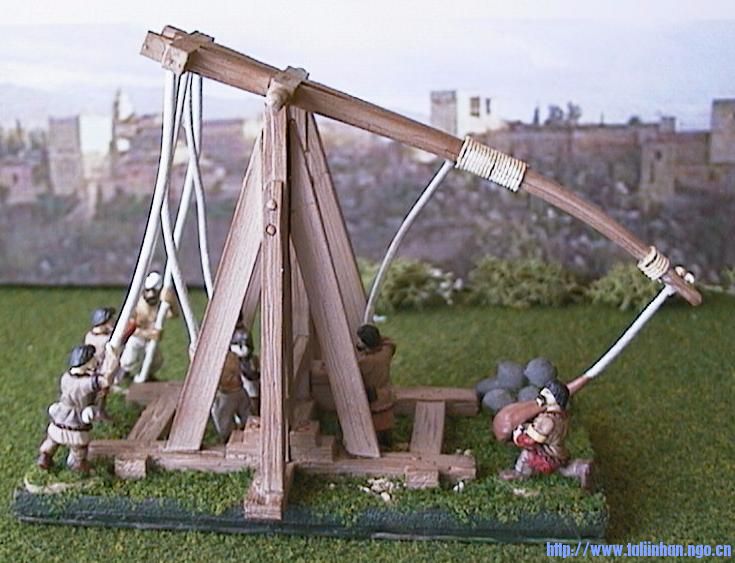 Mus02.jpg