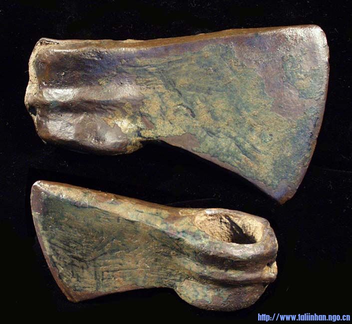 1186.jpg