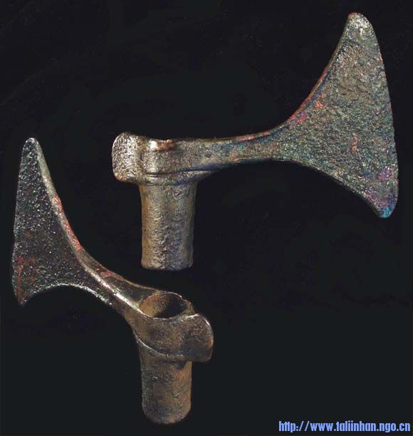 1191.jpg
