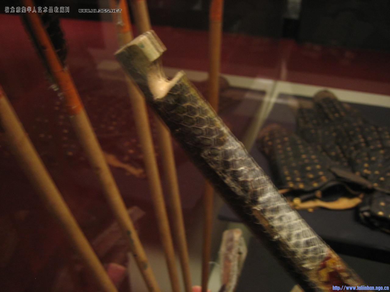 20081220_4d6763524237e55c1477yb0fpnGoxyD4.jpg