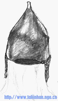 helm.jpg