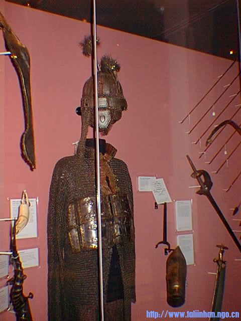 arm102.jpg