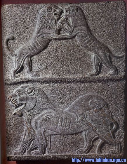 Lion and Dog.jpg