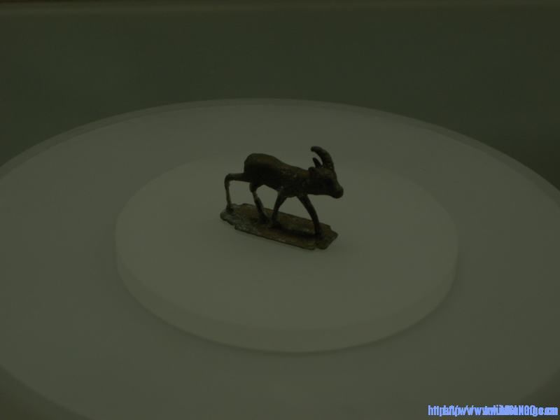0903311920abc5f8c2fdd6b20a.jpg